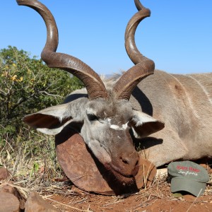 Kudu