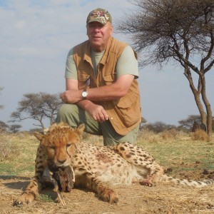 Hunting Cheetah at Ozondjahe Hunting Safaris in Namibia