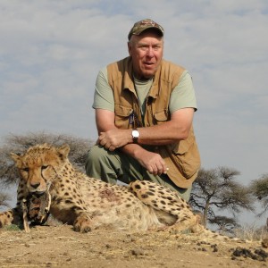 Hunting Cheetah at Ozondjahe Hunting Safaris in Namibia