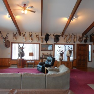 Trophy Room North Wall