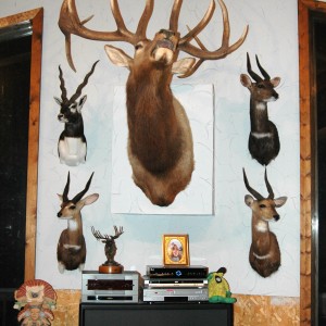 Trophy Room West Wall Center