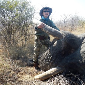 Elephant Namibia, July 2014