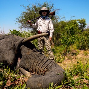 Elephant Zimbabwe, November 2014