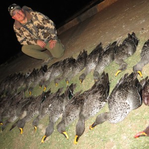 Yellow-billed ducks & Red-billed teal - 2014