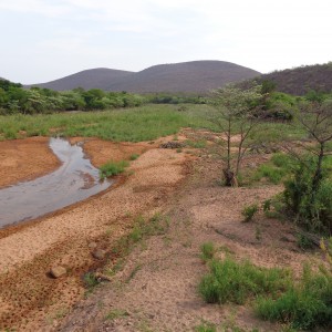 Arc Africa Hunting Safaris - Waterberg Concession