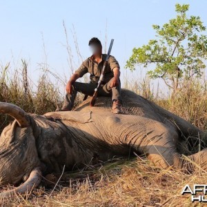 Tembo in Tanzania