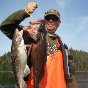 Pacific cod and black rockfish