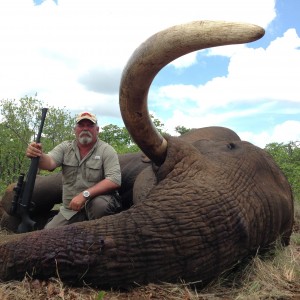 Elephant - South Africa