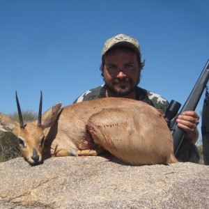 Steenbok