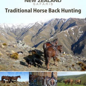 Horse back hunting New Zealand