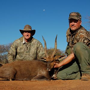 Bushbuck