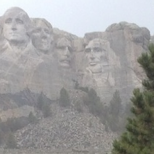 Merriams Turkey at Mount Rushmore