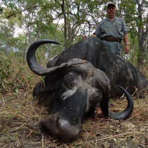 Buffalo Tanzania