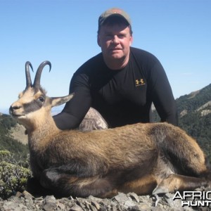 Chamois Hunt New Zealand