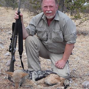 Jackal Etosha Heights 2015-10-22