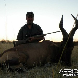 Red Hartebeest hunted at Westfalen Hunting Safaris Namibia