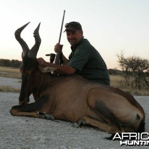 Red Hartebeest hunted at Westfalen Hunting Safaris Namibia