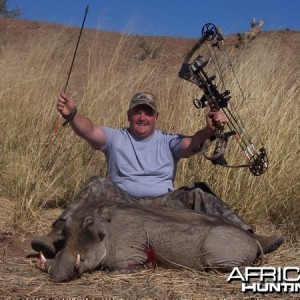 Warthog hunted at Westfalen Hunting Safaris Namibia