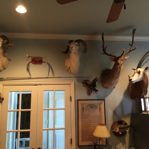 Trophy room