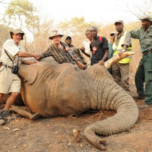 Tusker from Mozambique.