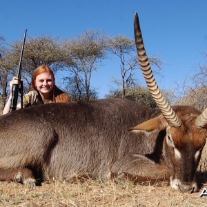 Waterbuck