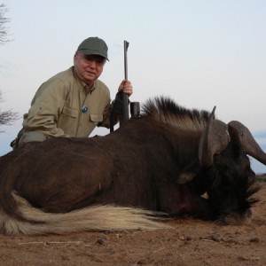 Black Wildebeest hunted with Ozondjahe Hunting Safaris in Namibia