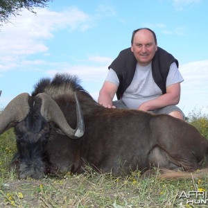 Black Wildebeest hunted with Ozondjahe Hunting Safaris in Namibia