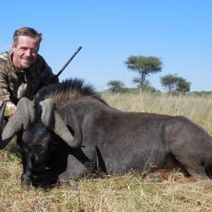 Black Wildebeest hunted with Ozondjahe Hunting Safaris in Namibia