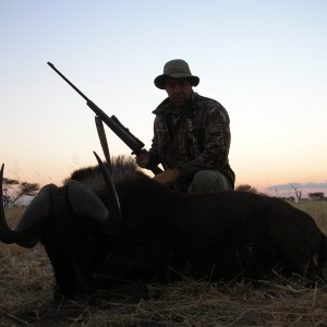 Black Wildebeest hunted with Ozondjahe Hunting Safaris in Namibia