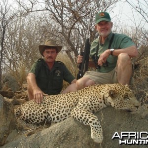 Leopard hunted with Westfalen Hunting Safaris in Namibia