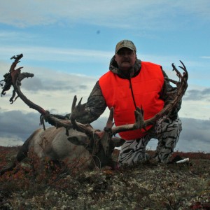 Quebec Caribou