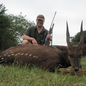 Bushbuck