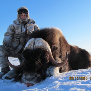 Barren Ground Musk-Ox Hunt