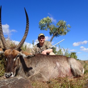 Waterbuck