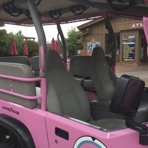 Pink Jeep