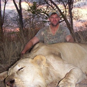 Lion Mozambique