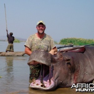 Hippo Mozambique