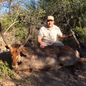 Waterbuck