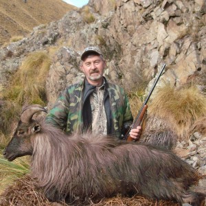 Tahr New Zealand  2015