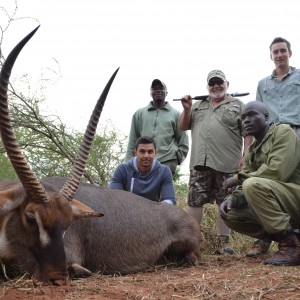 B V C ZIMBABWE WATERBUCK