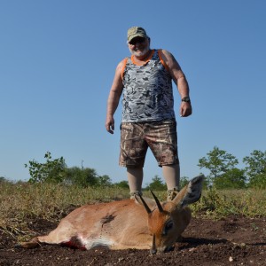 B V C ZIMBABWE STEENBOK