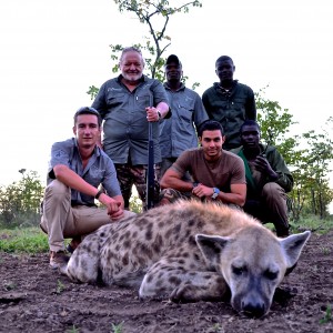 B V C ZIMBABWE HYENA