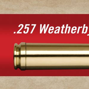 .257 Weatherby Mag