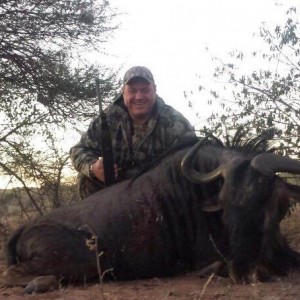 416 Alaskan first hunt Blue Wildebeest