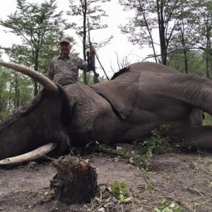 Jumbo Down - Africa 29 Complete