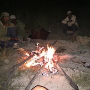 Bush grilling steaks