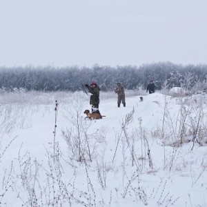 Hunting Romania