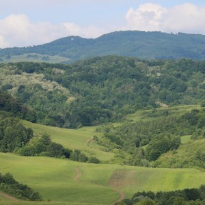 Hunting Romania