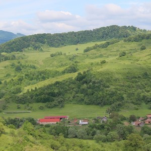 Hunting Romania