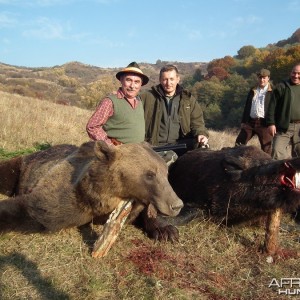 Hunting Brown Bear and Boar in Romania